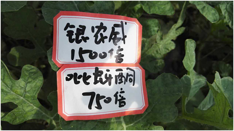 【探索】是什么讓黃蚜如此落?。?>
        </a>
        

    

</div><div   id=